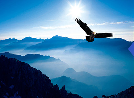 首页| 尊龙集团中国官方网站