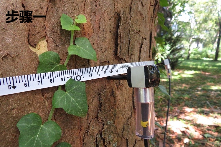 匈牙利Fakopp、、、Fakopp木料应力波测定仪、、、Fakopp木料应力波测试仪、、、Fakopp 3D树木成像仪