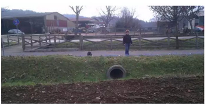 首页| 尊龙集团中国官方网站